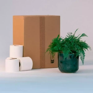 product_24